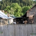 boerderij
