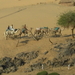 PICT0255
