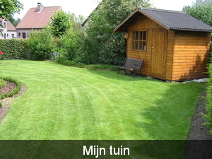 mijn tuin (Morse)