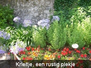 Krieltje