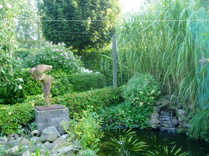 zomer08( akelei)