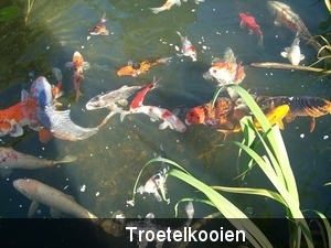 100_0198      Krieltje