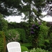 DSCN0424