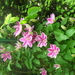 DSCN0429