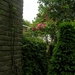 DSCN0430