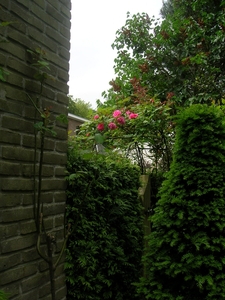 DSCN0430
