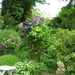 DSCN0431