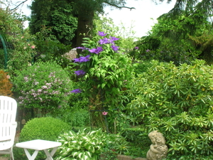 DSCN0431
