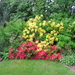 DSCN0420