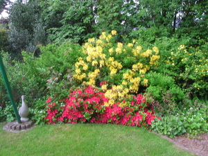 DSCN0420