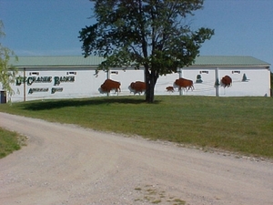 121 buffelranch2