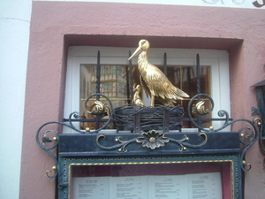 REIS STRAATSBURG 19-21 OKTOBER 2008 015