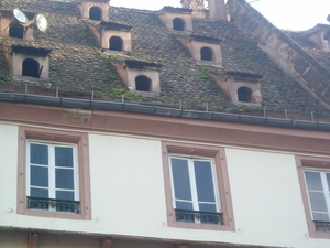 REIS STRAATSBURG 19-21 OKTOBER 2008 019