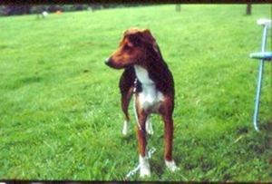 Scannen0010