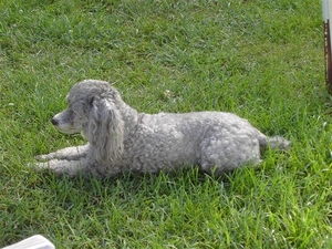 foto,s van tsjechie 014