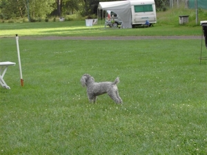 foto,s van tsjechie 017