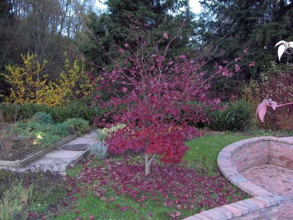 ottrot en julien 025