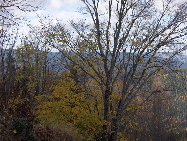 uitzicht van op de berg sainte godille