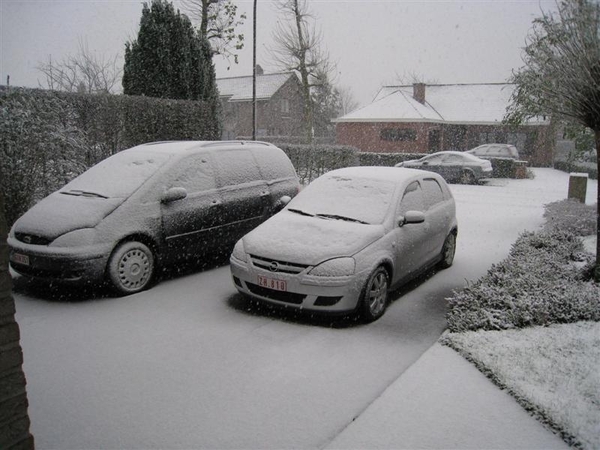 besneeuwde auto's