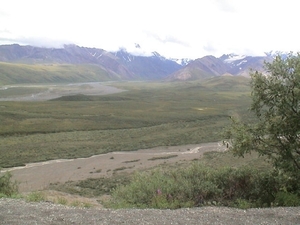 alaska 2006028