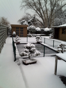 December-09-sneeuw