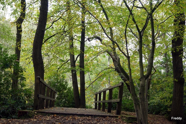 Veld-Ardooie-14-10-2014