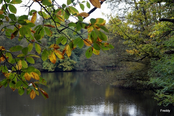 Veld-Ardooie-14-10-2014