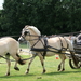 Vakantiehoeve-ONS HUIS-Staden(opendeur)