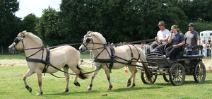 Vakantiehoeve-ONS HUIS-Staden(opendeur)