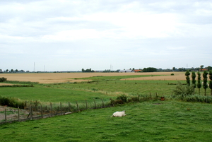 O.L.V.-Hoekje-Stuivekeskerke- Zicht vanop de toren  kerkje