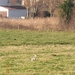 DSCN0995