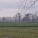 DSCN0996