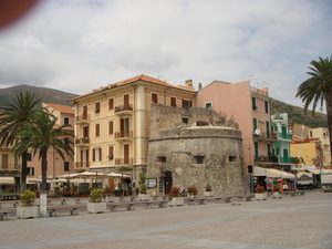 Cereale