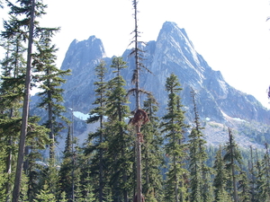 sawtooth wilderness