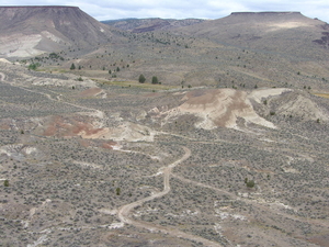 john day fossil en painted