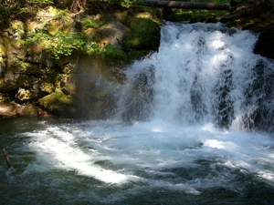 n van de vele watervallen onderweg op de umpqua scenic byway