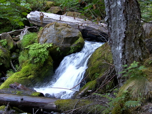 n van de vele watervallen onderweg op de umpqua scenic byway