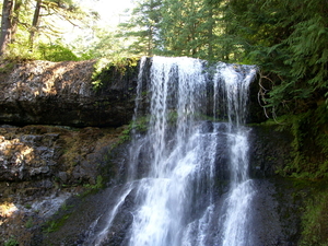 silver falls salem