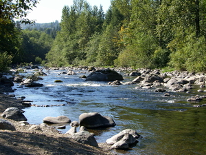 potlatch state park