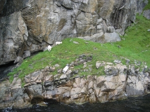 Noorwegen 2007 020