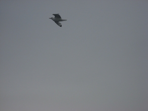 Noorwegen 2007 178