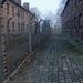 Auschwitz