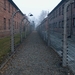 Auschwitz