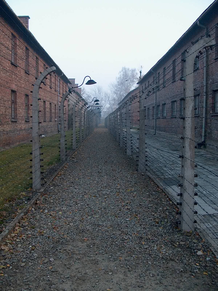 Auschwitz