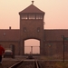 Auschwitz