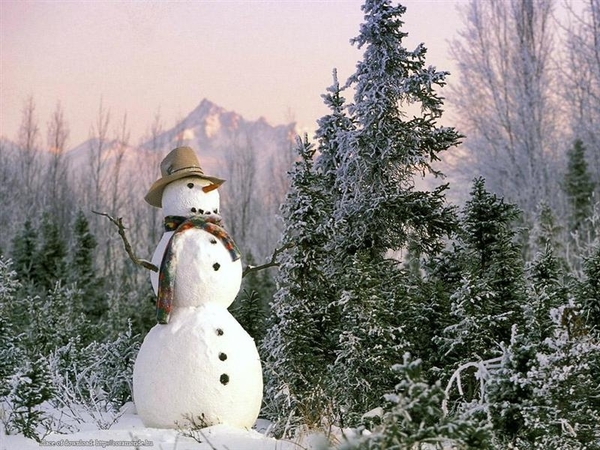 Kerst 27 (Medium)