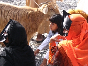 geitenmarkt in Nizwa