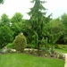 DSCN9038_0136