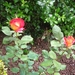 DSCN9042_0140
