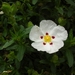 DSCN9043_0141